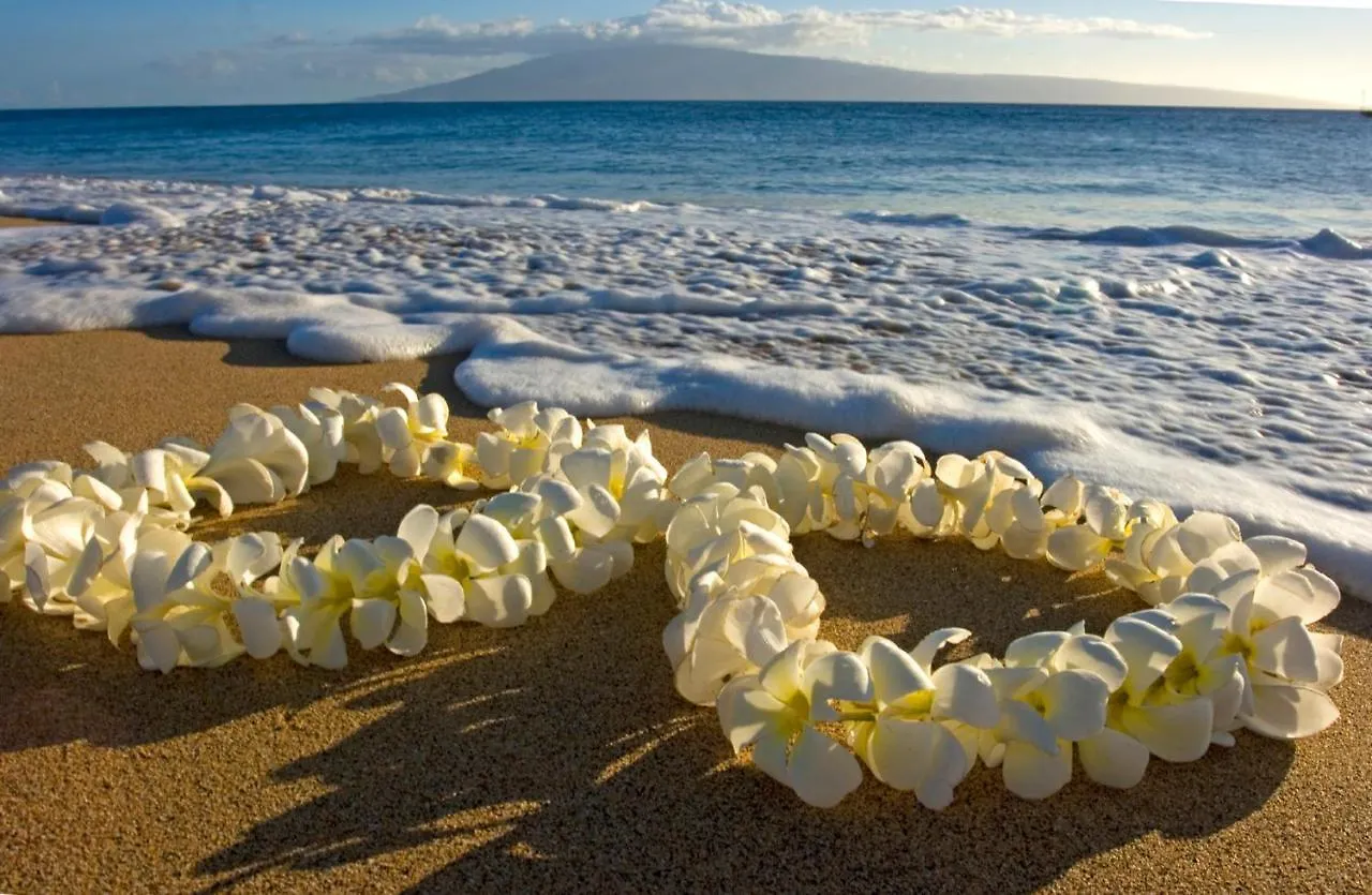Fabulous Diamond Head & Ocean View Condo With Free Parking Honolulu 0*,