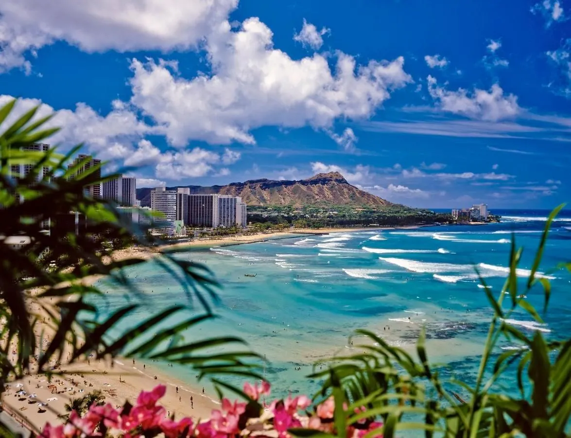Fabulous Diamond Head & Ocean View Condo With Free Parking Honolulu Apartment