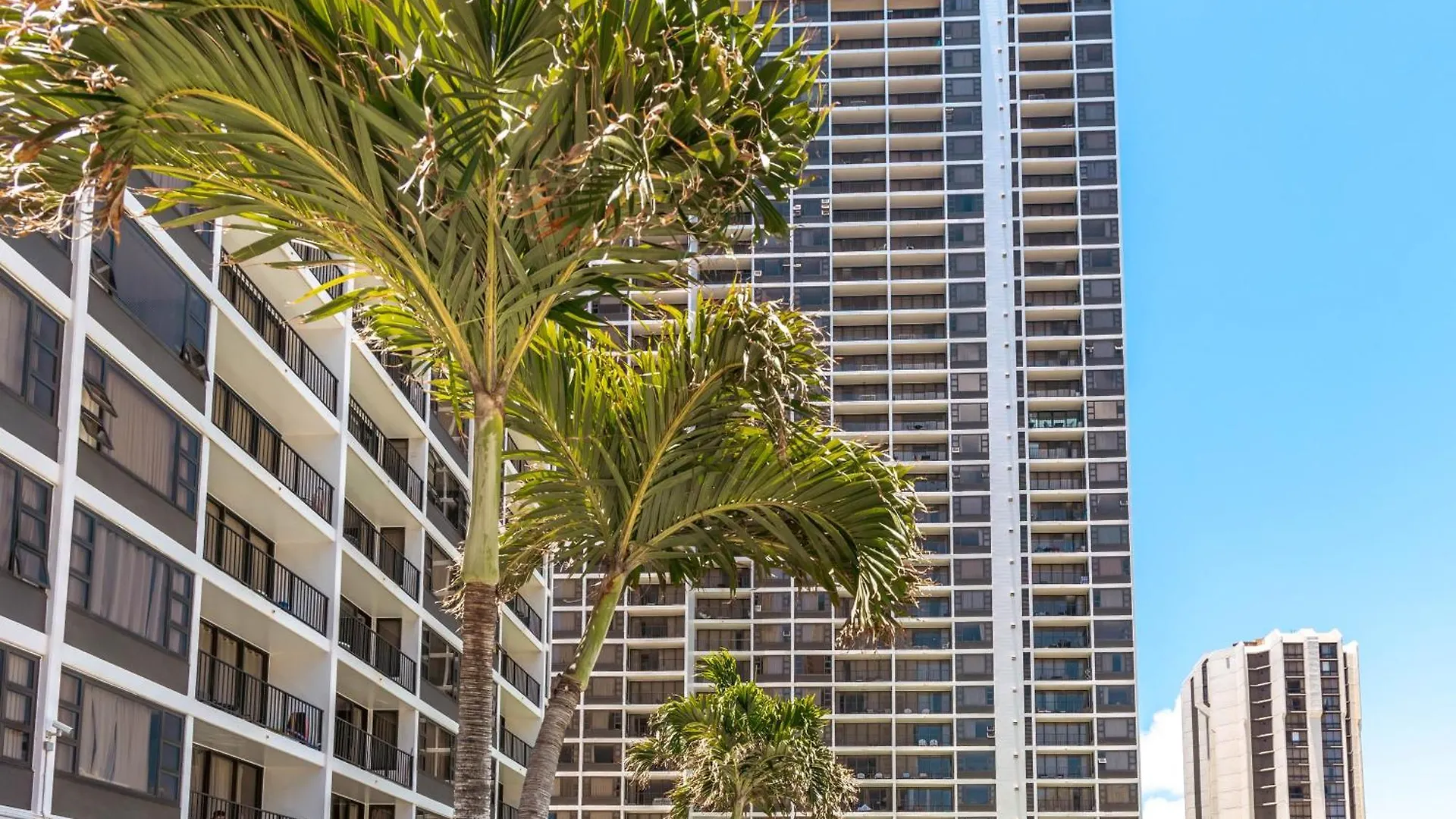 Fabulous Diamond Head & Ocean View Condo With Free Parking Honolulu Apartment